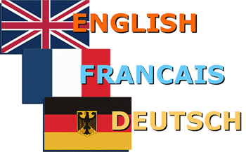 Предметная компетенция экспертов ОГЭ и ЕГЭ по иностранным языкам