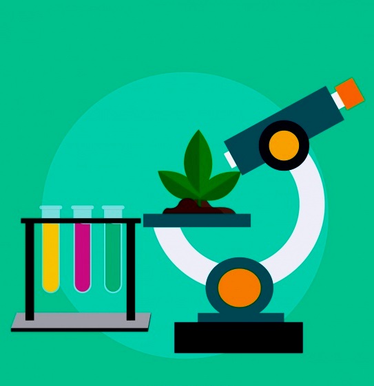 Основы базовых биологических дисциплин: приемы систематизации и обобщения